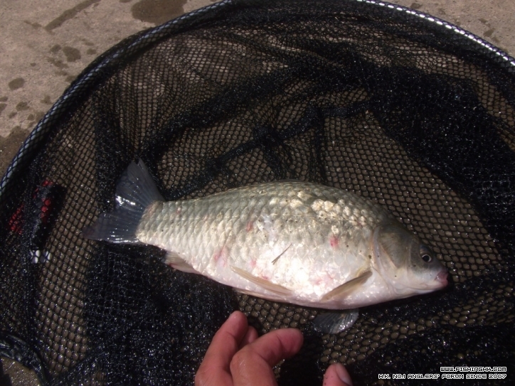DSCF5144.JPG