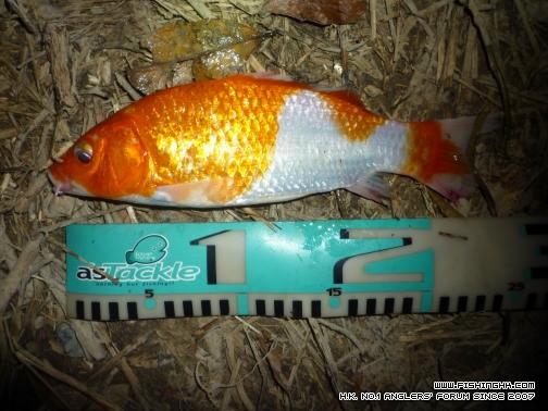 20120917.JPG
