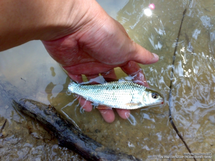 201209281303.jpg