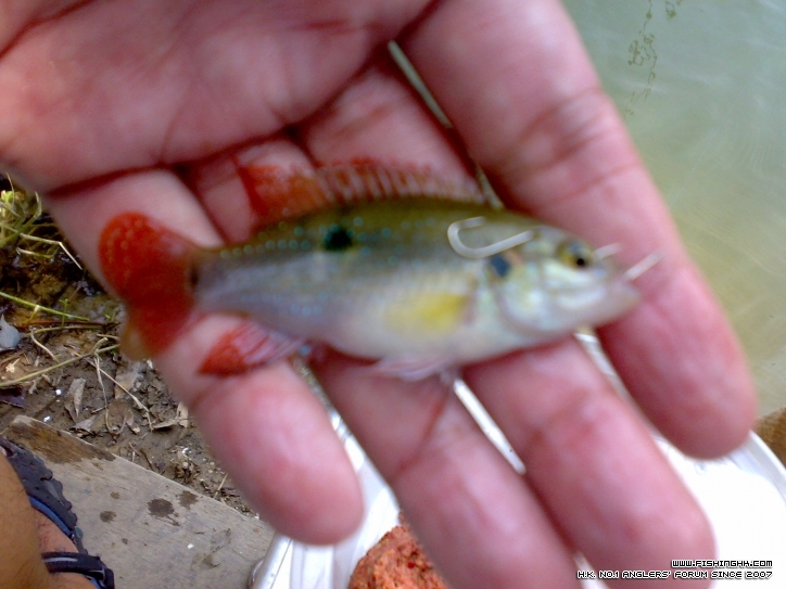 201209281304.jpg