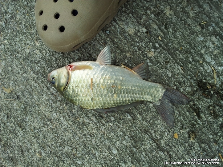 20120930_142903.jpg
