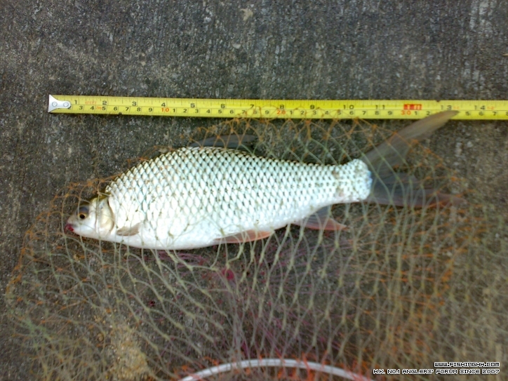 201209301327.jpg