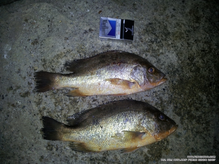 20121002_204044.jpg