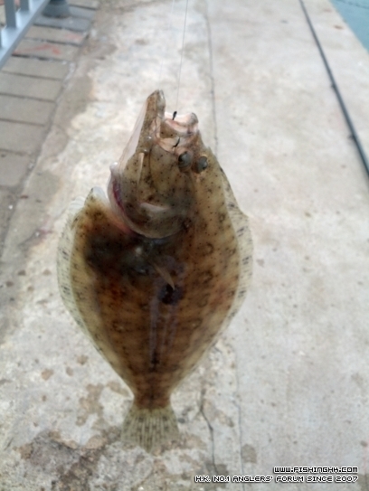 IMG_20120930_104811.jpg