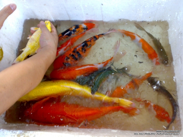 201210211470.jpg