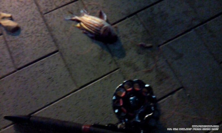 2012-11-03 09-03-06-853.jpg