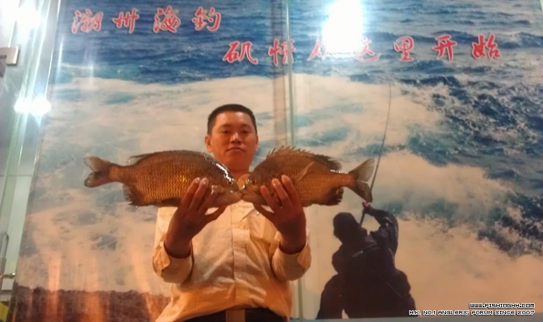 IMAG0505_副本.jpg