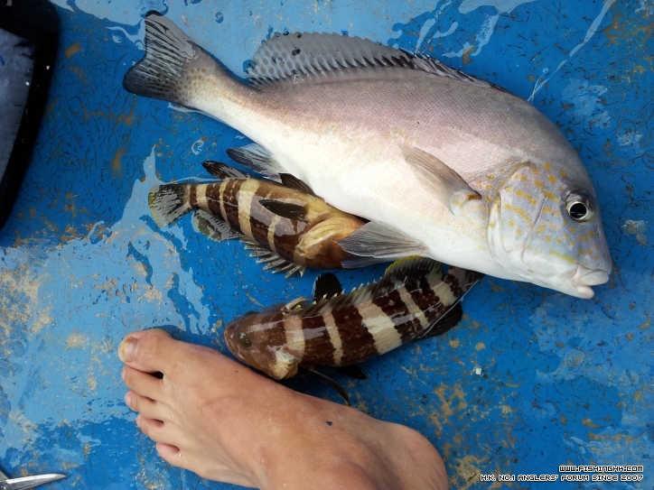 20121124_104545.jpg