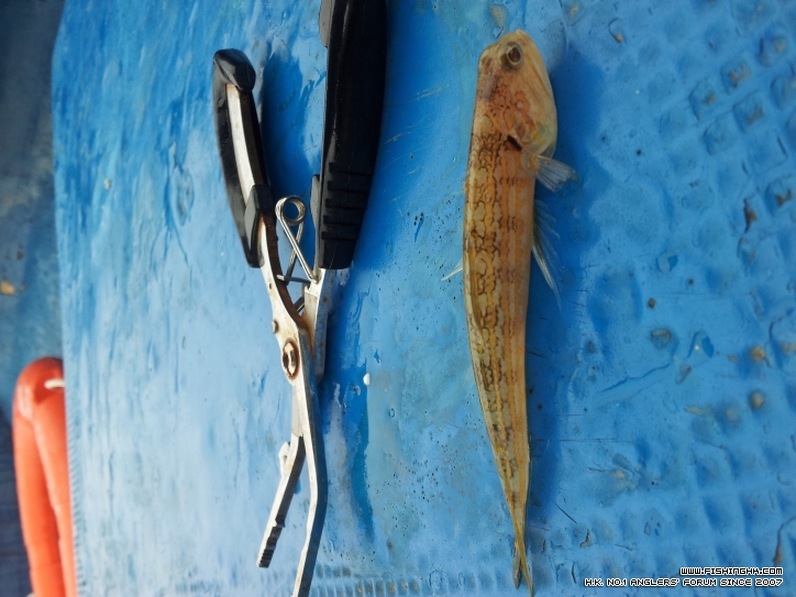 20121124_115404.jpg