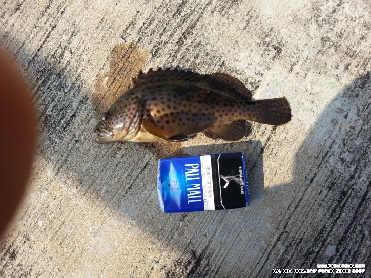 20121212_141450.jpg