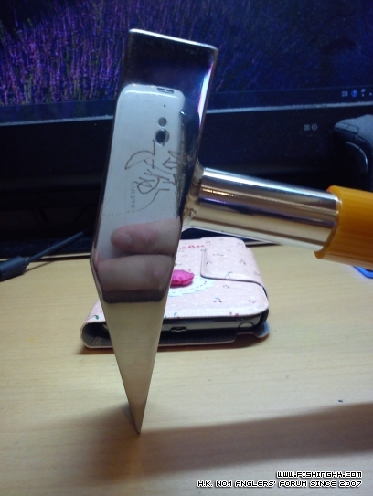 IMG_20121224_175251.jpg