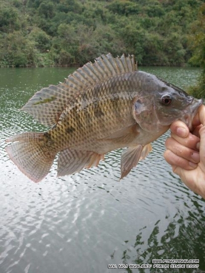 20121229.jpg