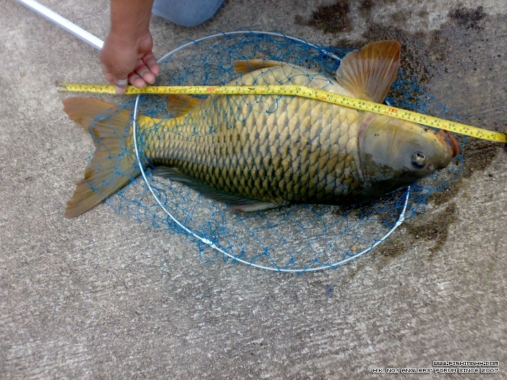 201301011681.jpg