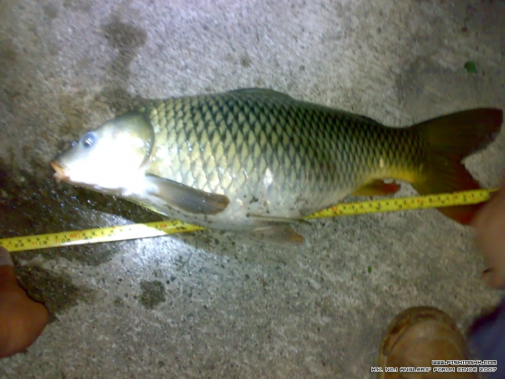 201301011691.jpg