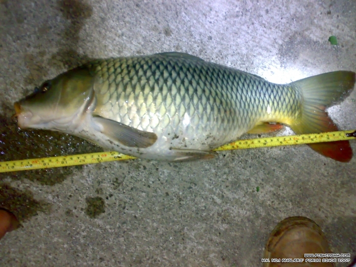 201301011692.jpg