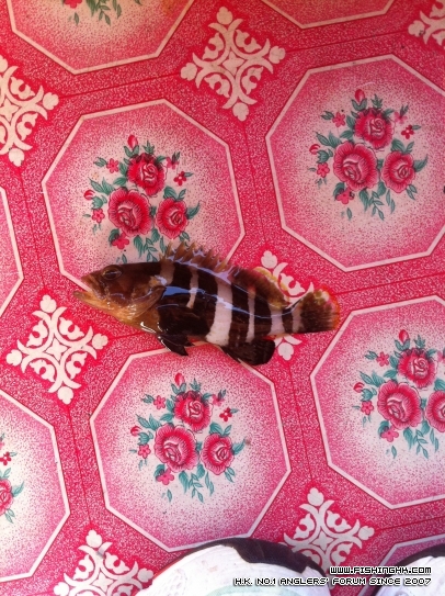 Photo 6-1-13 16 07 47.jpg