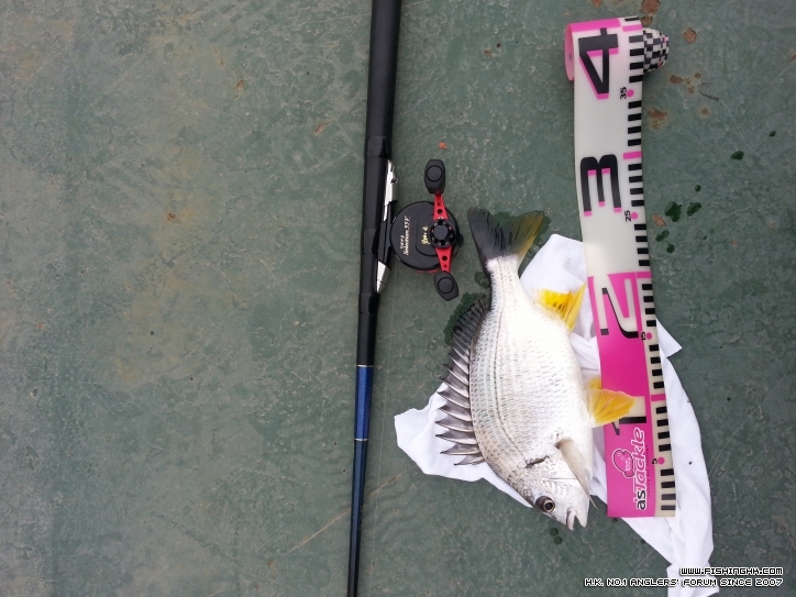 20130203_160845.jpg