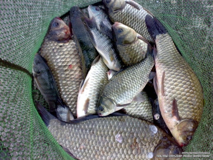 201302031754.jpg