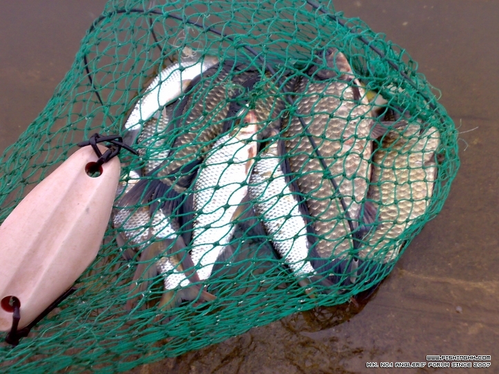 201302031768.jpg
