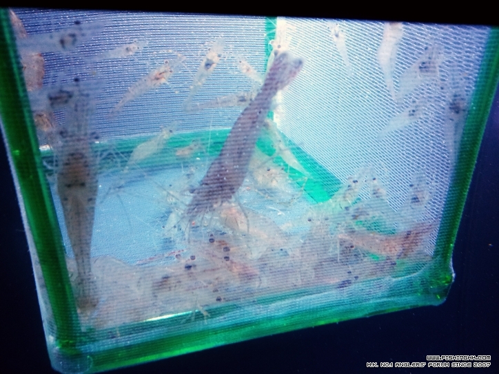 2013-02-08 19.31.17.jpg