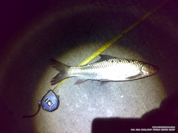 201302071784.jpg