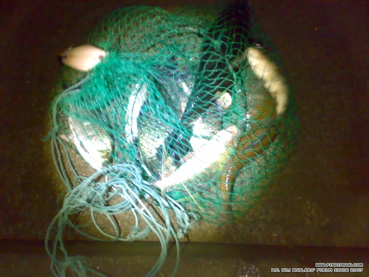 201302071791.jpg