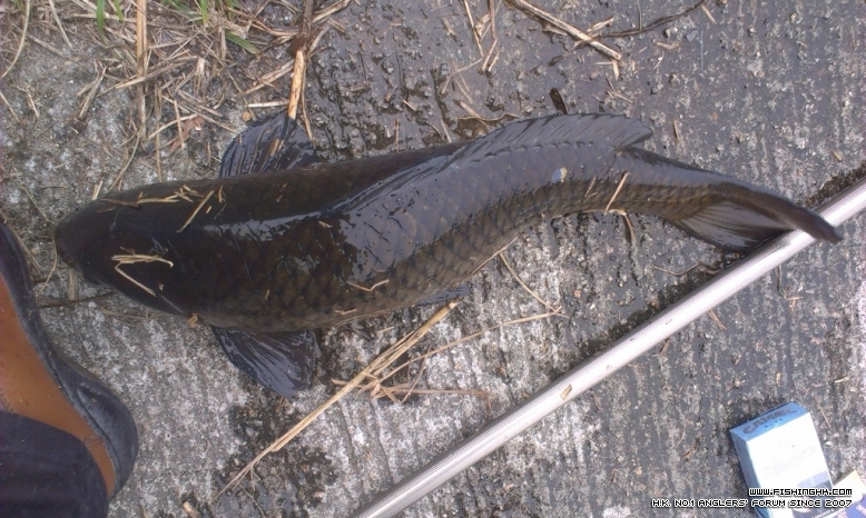 IMAG1482_BURST002 (1024x613).jpg