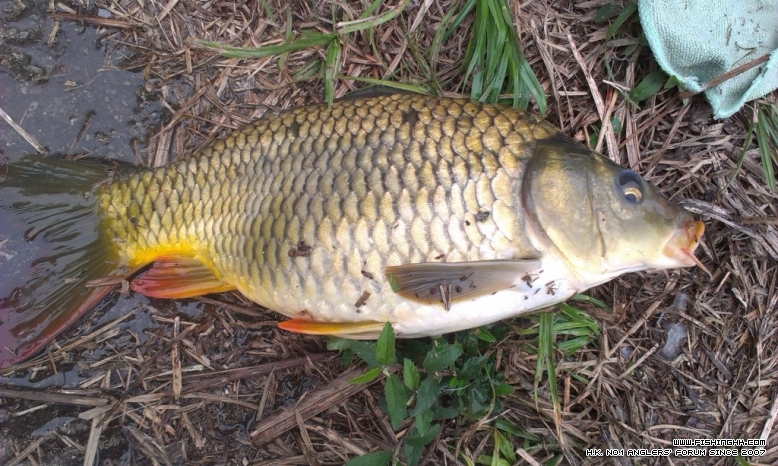 IMAG1490 (1024x613).jpg