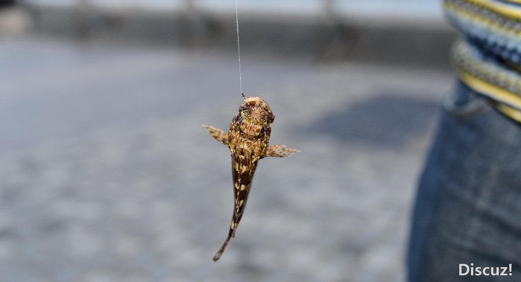DSC_6718.jpg