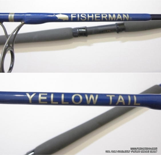 Fisherman Yellow Tail