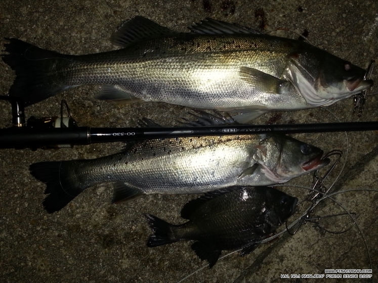 20130224_232458.jpg