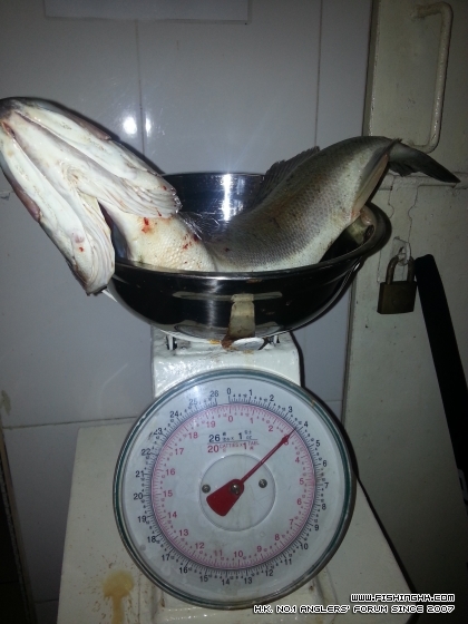 20130224_234538.jpg
