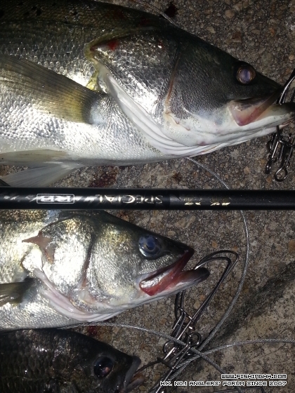 20130224_232615.jpg