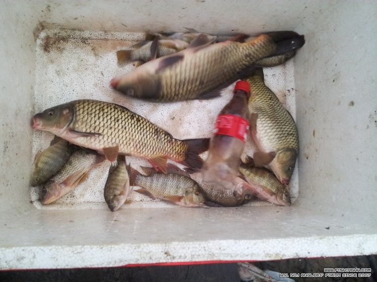 20130317_062646.jpg