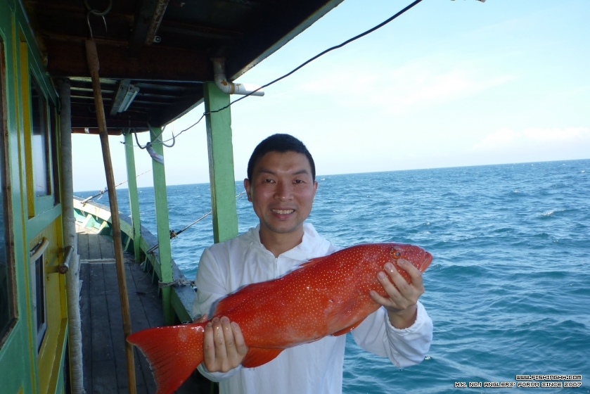 Sabah 917.JPG