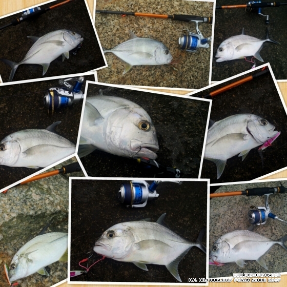 PhotoGrid_1364201077198.jpg