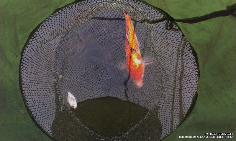 IMAG2444 (800x479).jpg