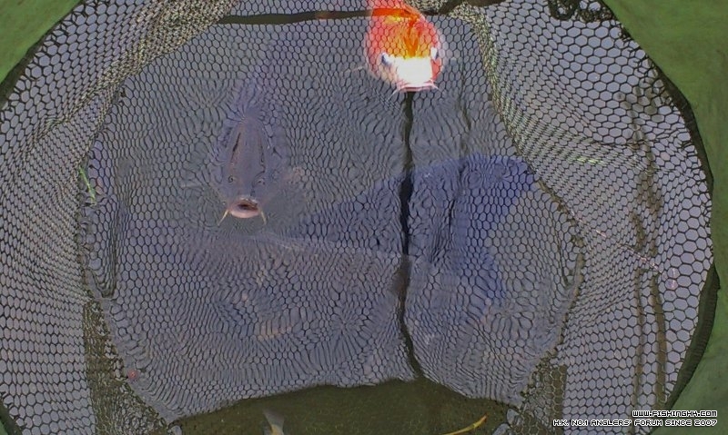 IMAG2449 (800x479).jpg