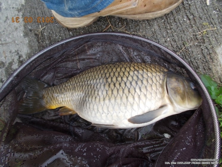 DSCN1282 (800x600).jpg