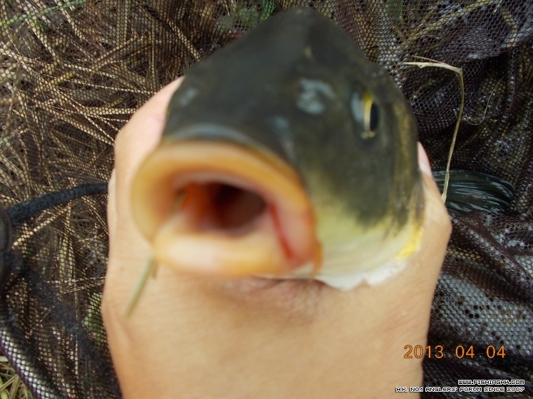 DSCN1447.JPG