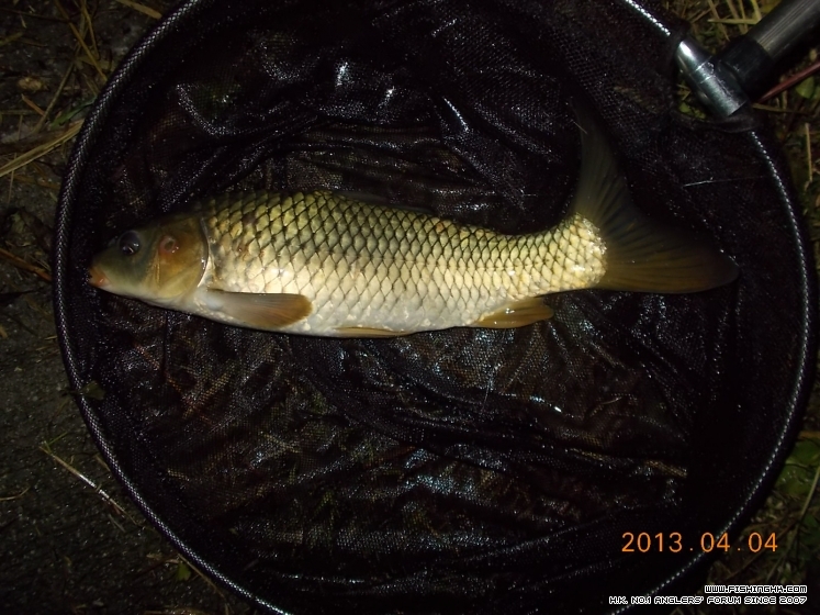 DSCN1465.JPG
