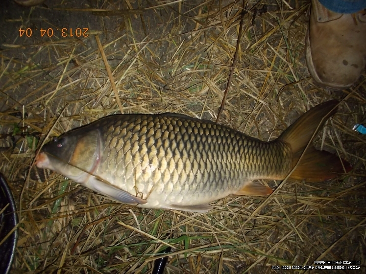 DSCN1466.JPG