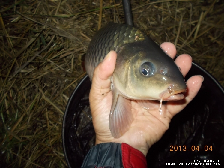 DSCN1471.JPG