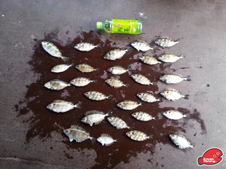 20130406_175937.jpg