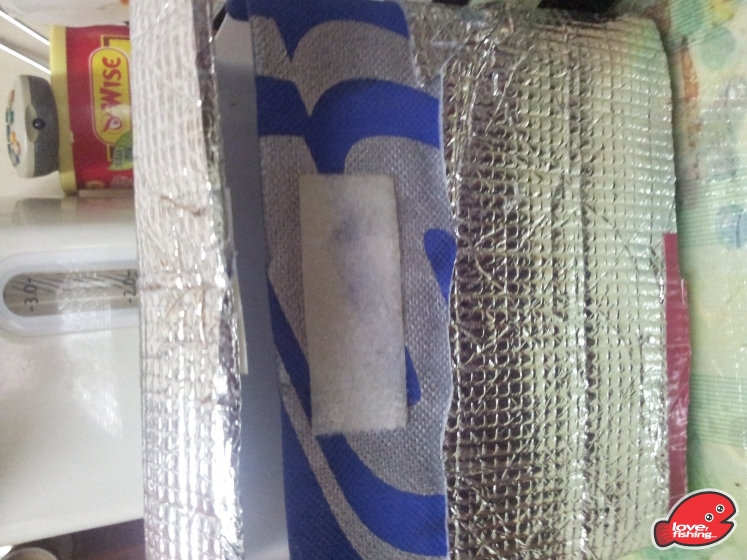 20130409_235457.jpg