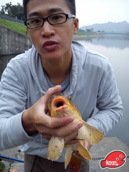 DSC_0105.jpg