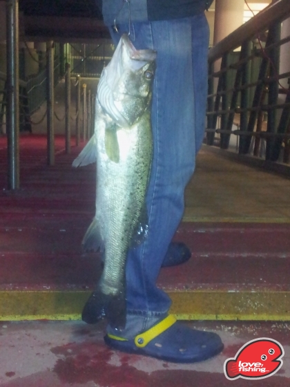 20130411_201552.jpg