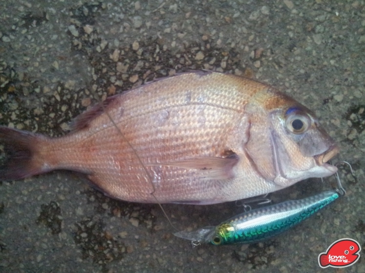 20130410_180707.jpg