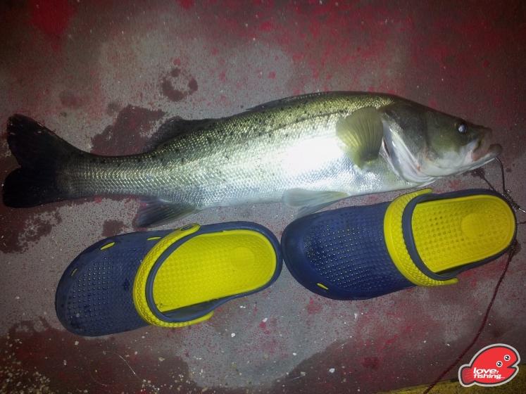 20130411_201403.jpg