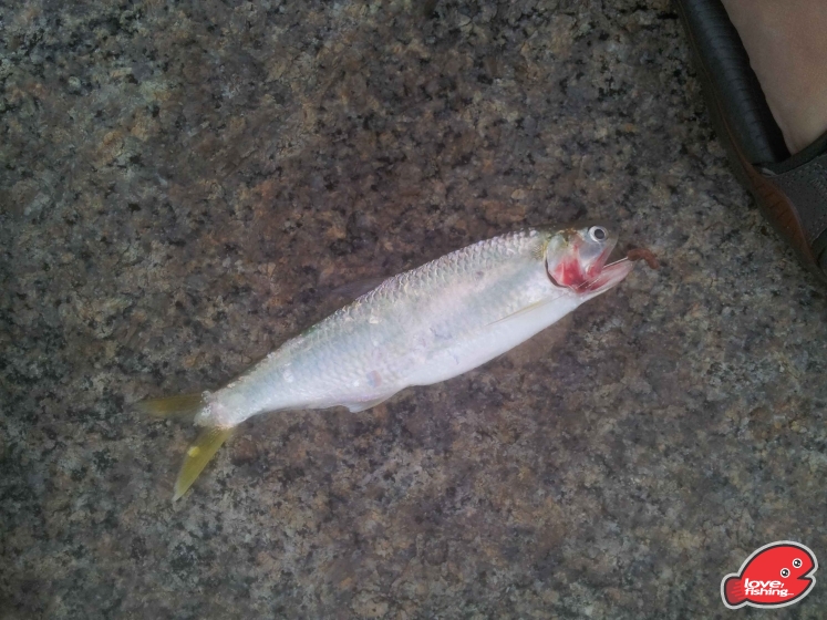 20130413_174457.jpg